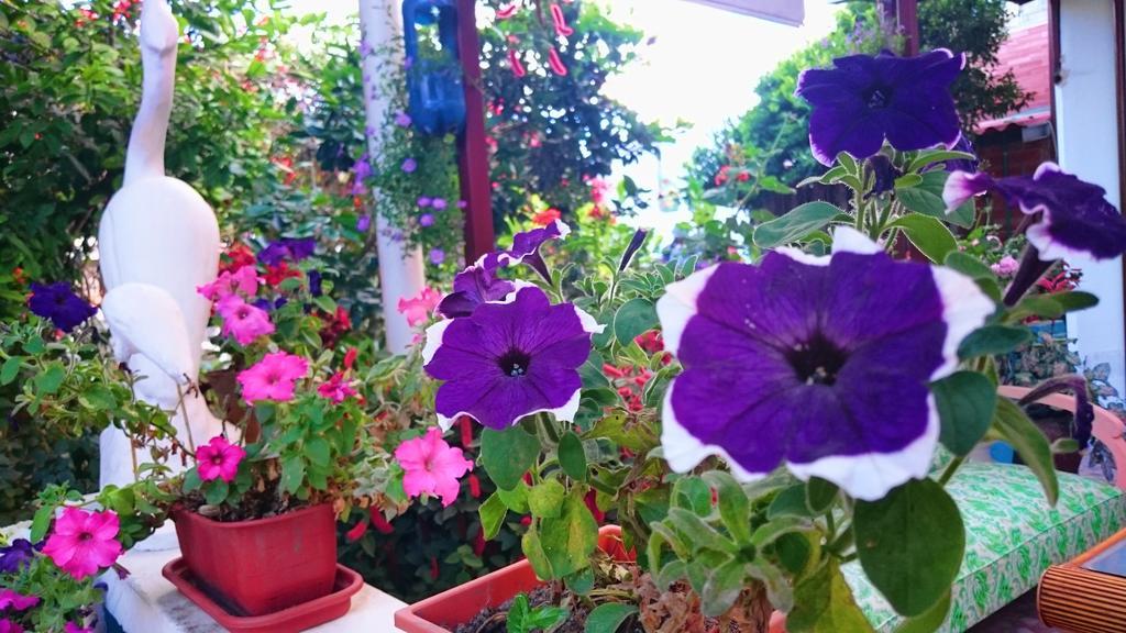 Hostal El Parque Tababela Luaran gambar